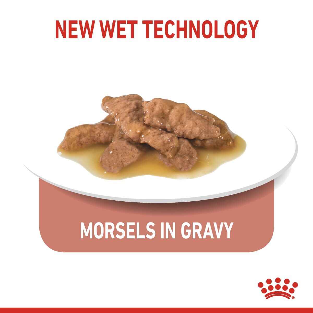 Cat food with morsels in gravy on a white plate, labeled 'New Wet Technology' and 'Morsels in Gravy'.