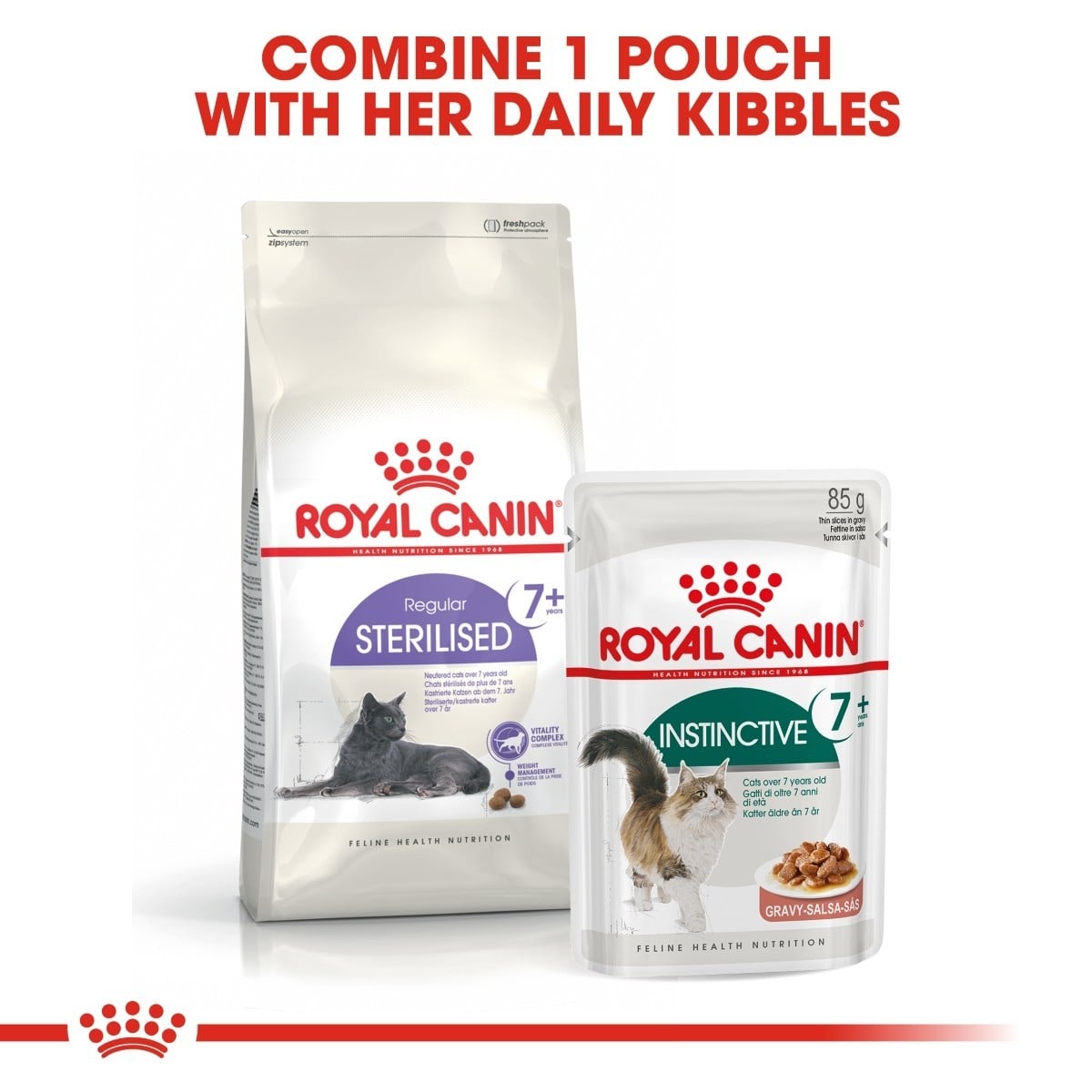 Royal Canin cat food packages on a white background