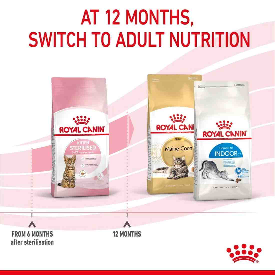 Royal Canin cat food packages with text indicating switching to adult nutrition at 12 months.