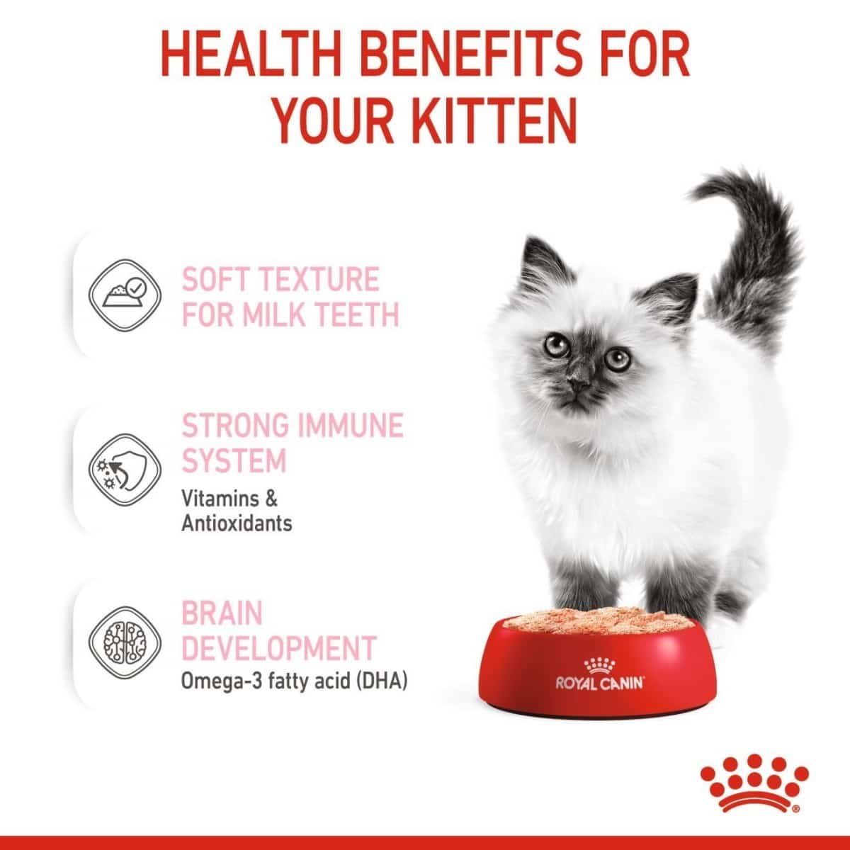 Advertisement for Royal Canin kitten food with a kitten and text about health benefits on a white background.