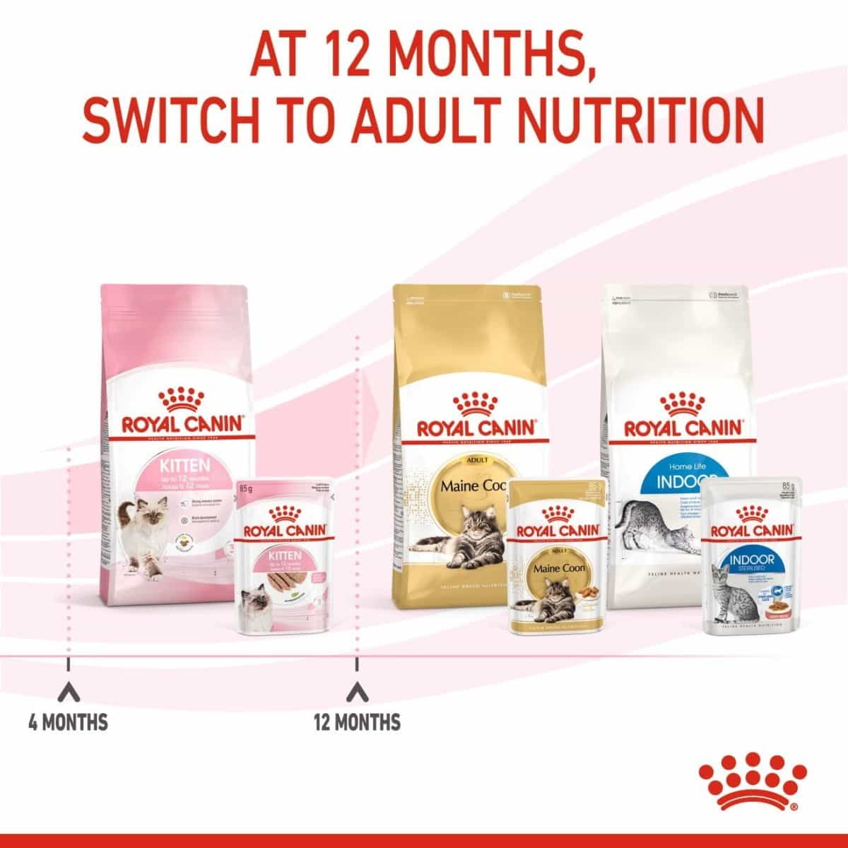 Royal Canin cat food packages for different life stages on a white background