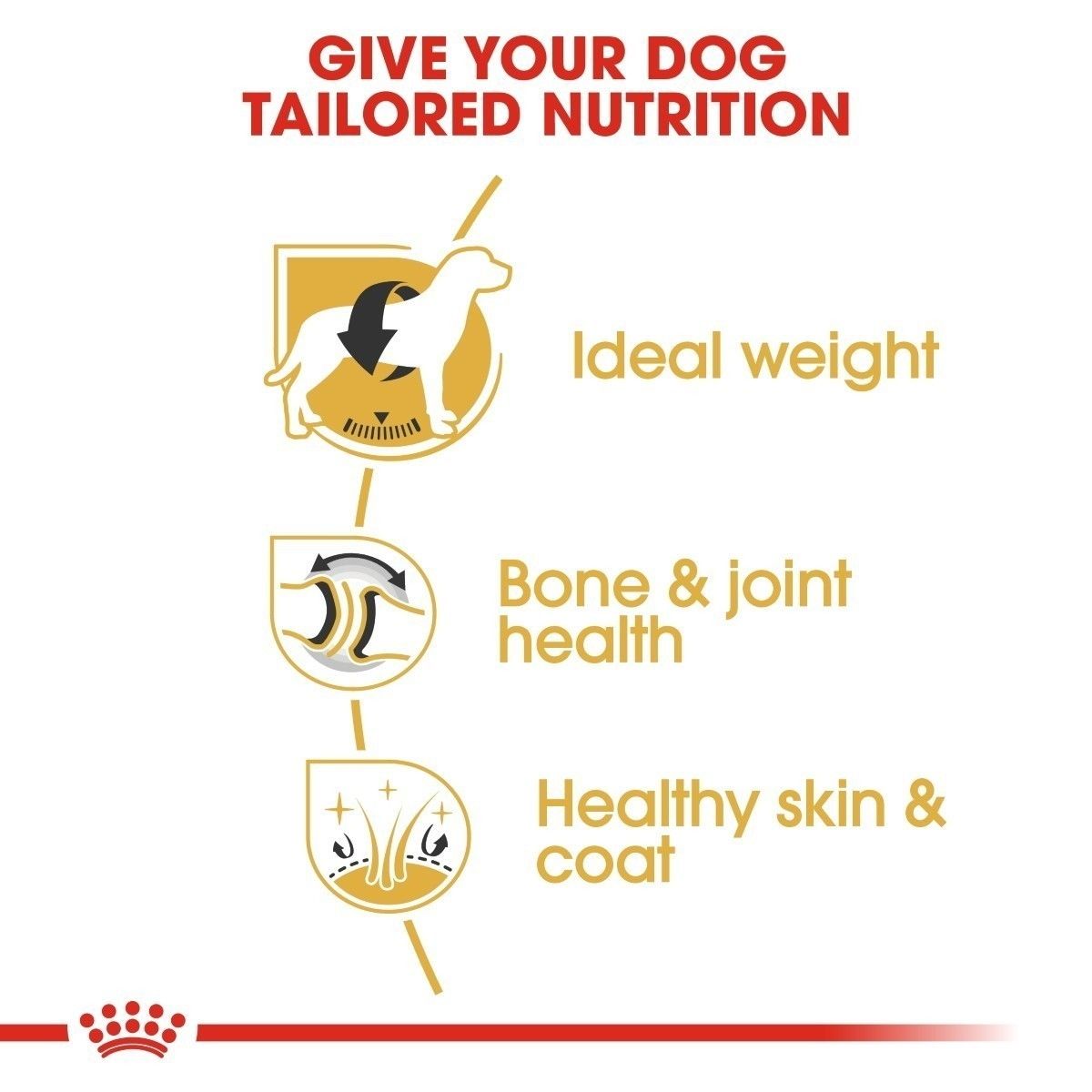Diagram showing benefits of tailored dog nutrition with icons for ideal weight, bone & joint health, and healthy skin & coat.