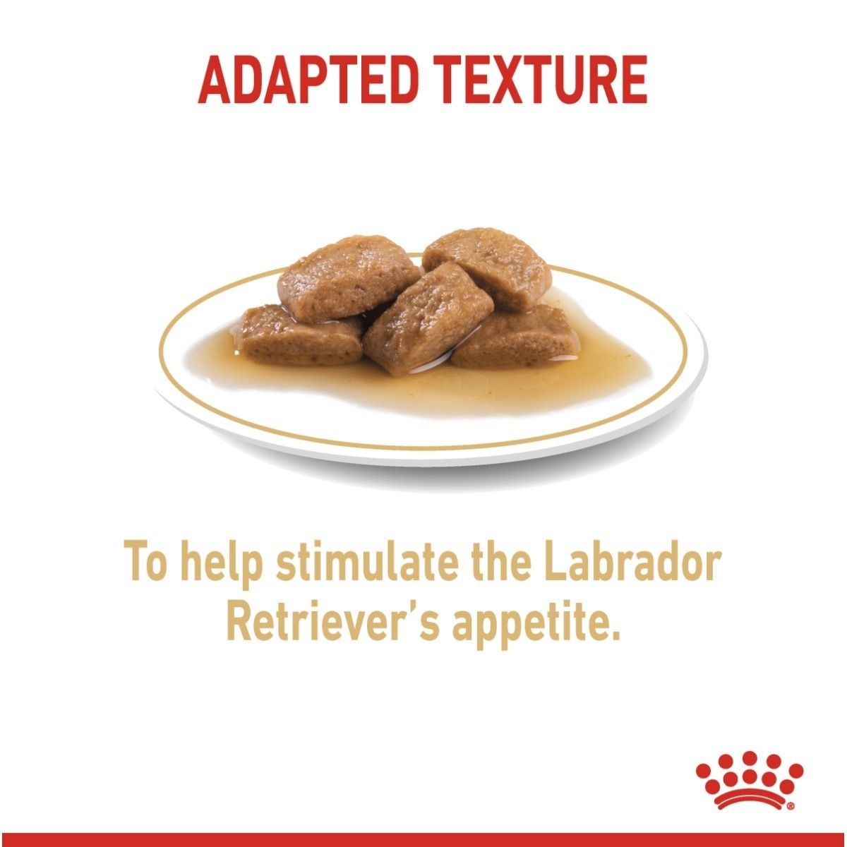 Dog food on a plate with text about stimulating a Labrador Retriever's appetite, featuring a brand logo.