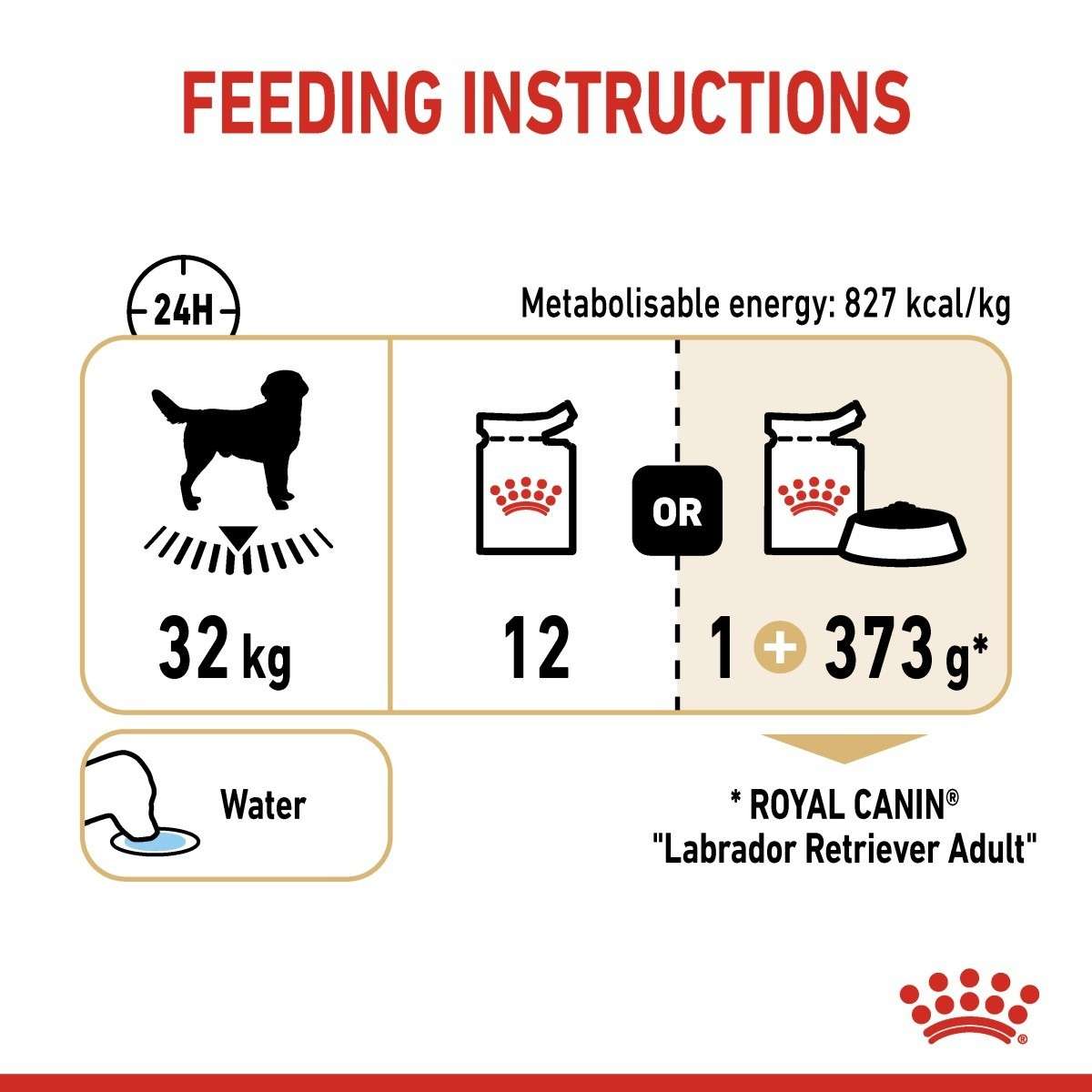 Royal Canin feeding instructions for Labrador Retriever Adult on a white background