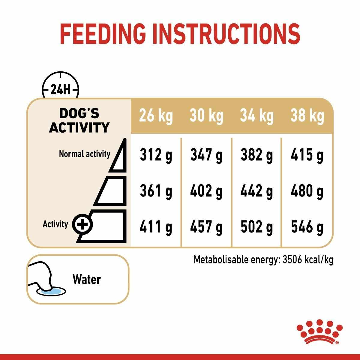Feeding instructions for a dog with weight and activity levels on a white background