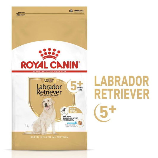 Royal Canin Labrador Retriever adult dog food package on a white background