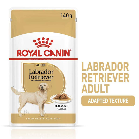 Royal Canin Labrador Retriever adult dog food package on a white background