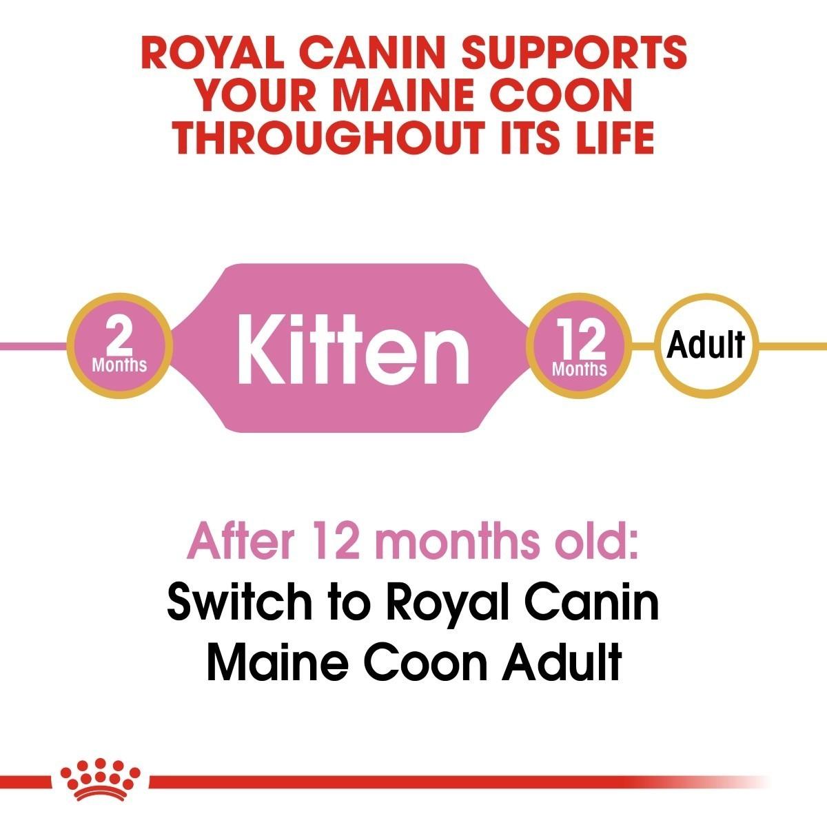 Royal Canin kitten to adult cat food transition chart on a white background