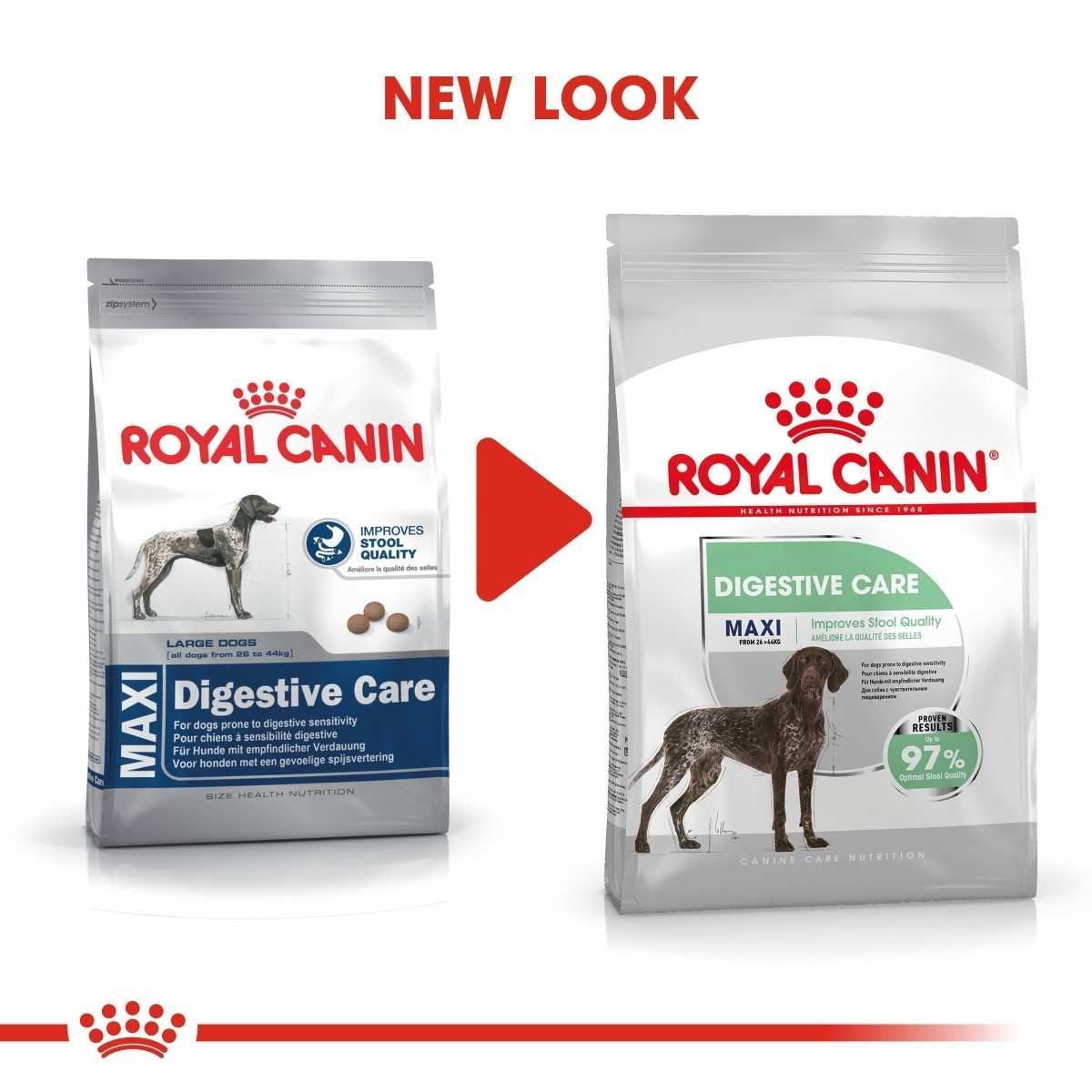 Two packages of Royal Canin Maxi Digestive Care with a red arrow between them indicating a 'New Look'.