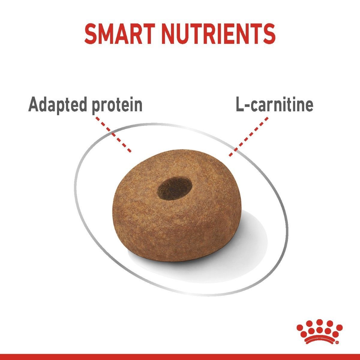 Dog treat with 'Smart Nutrients' text and a Royal Canin logo on a white background