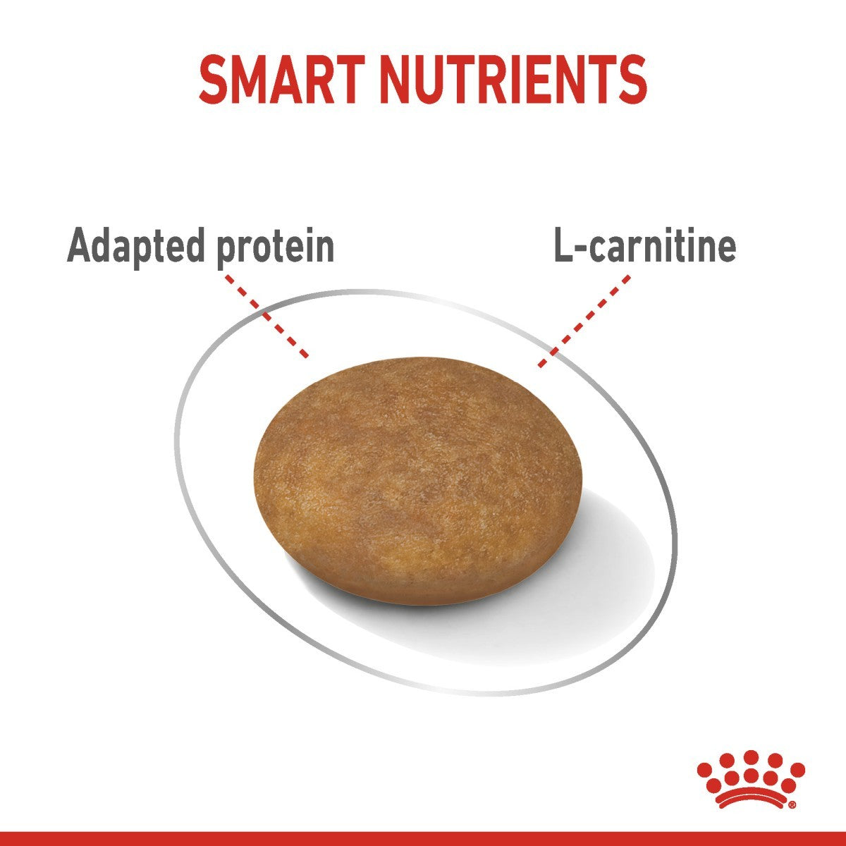Dog food product with 'Smart Nutrients' label highlighting 'Adapted protein' and 'L-carnitine'.