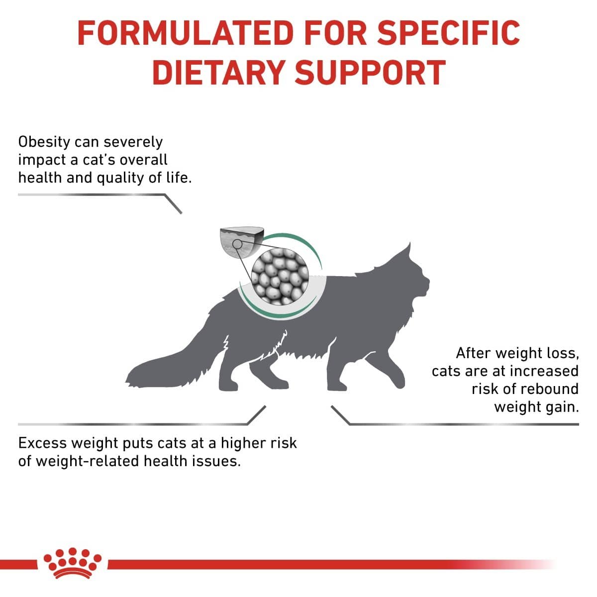 Cat dietary support product with text about obesity and weight management.