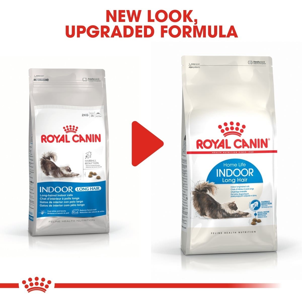 Two packages of Royal Canin Indoor Long Hair cat food with a red play button graphic.