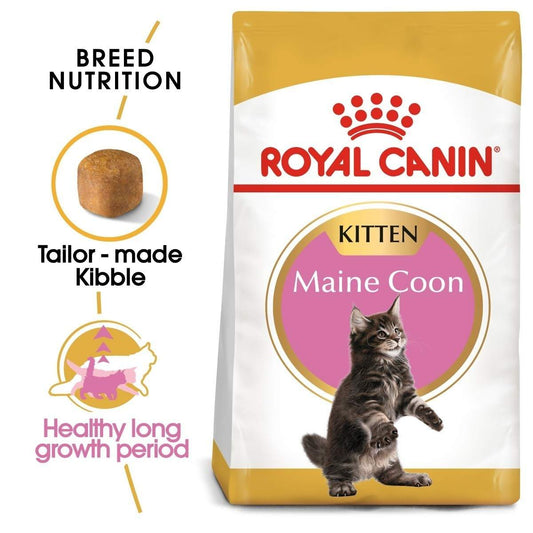 Royal Canin Kitten Maine Coon cat food package with text highlighting features