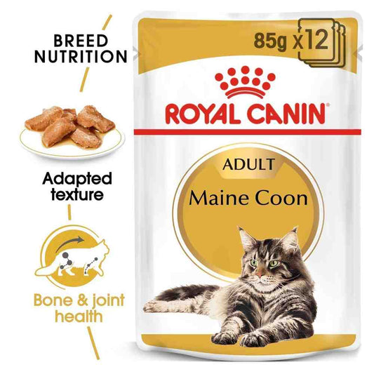 Royal Canin Maine Coon cat food pouch with text highlighting features on a white background