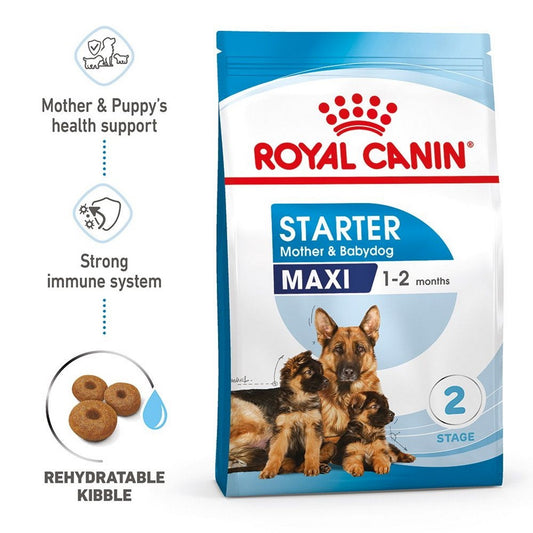 Royal Canin Starter Maxi dog food package with text highlighting benefits on a white background