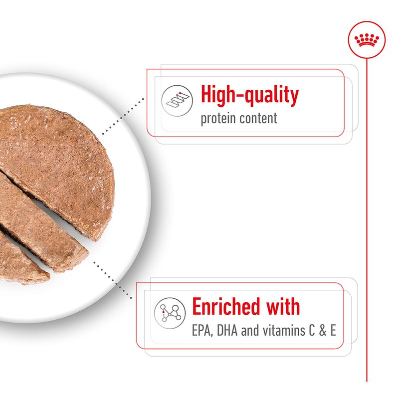 Bread on a plate with text highlighting high-quality protein content and enrichment with EPA, DHA, vitamins C, and E.
