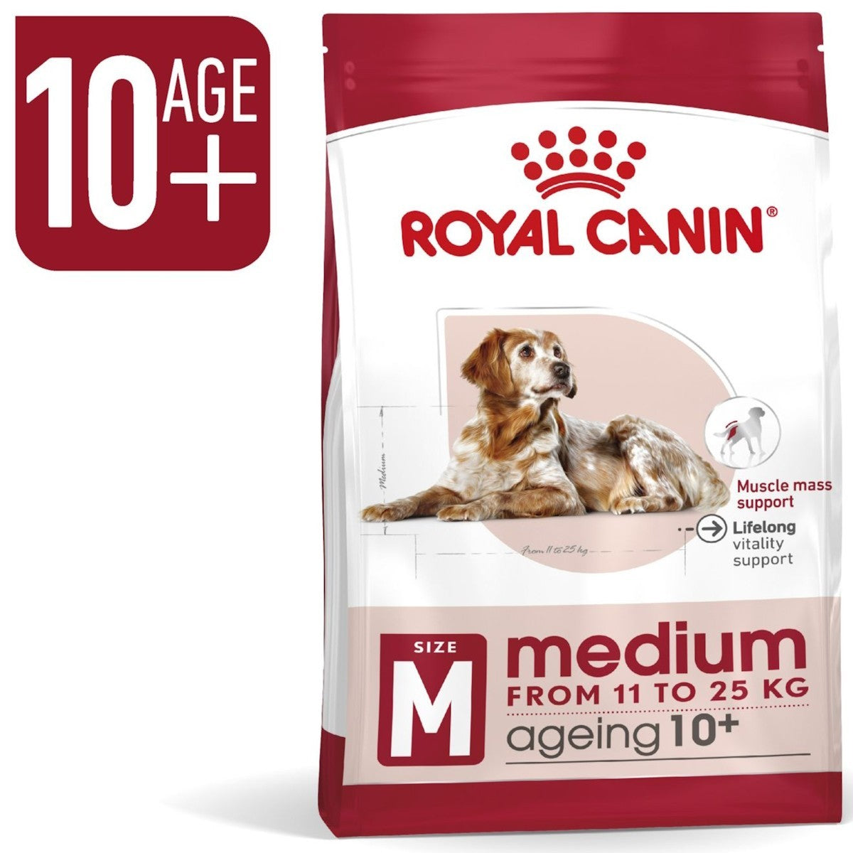 Royal Canin dog food package for ageing dogs on a white background