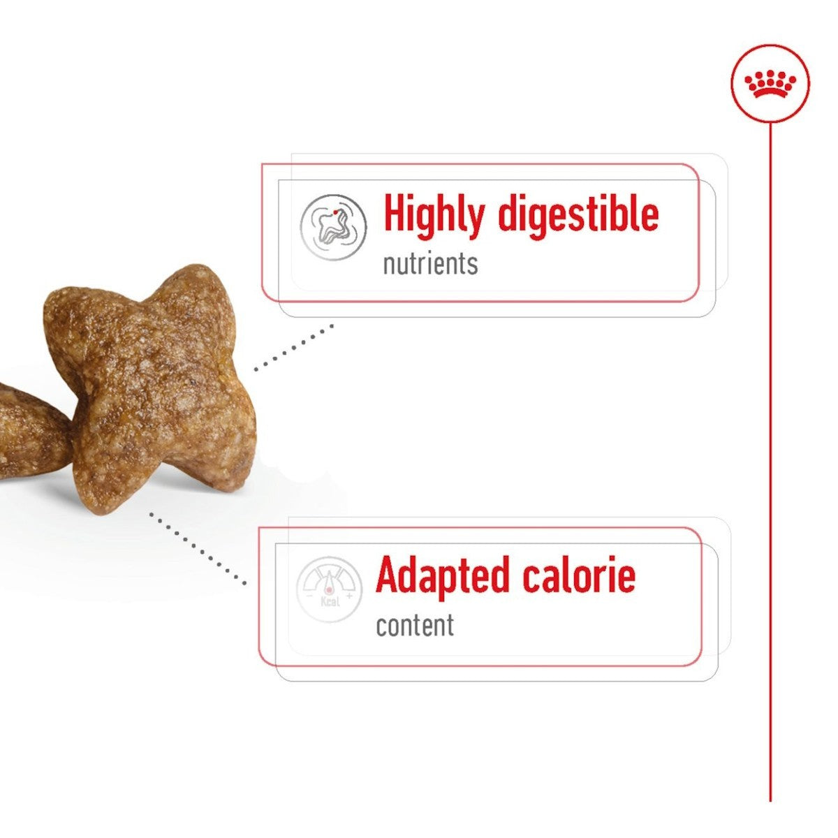 Dog treat with text 'Highly digestible nutrients' and 'Adapted calorie content' on a white background