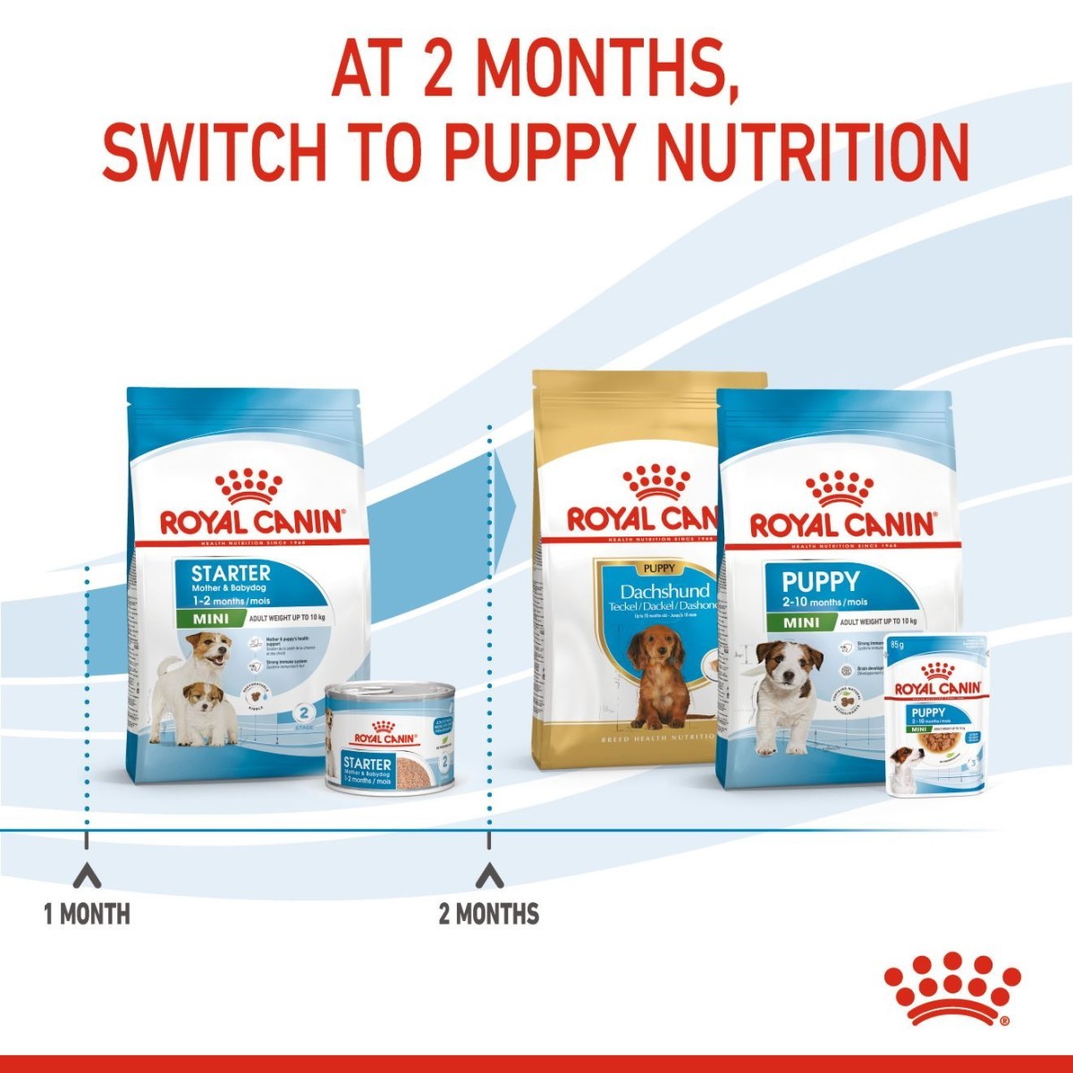 Royal Canin dog food products with text indicating switching to puppy nutrition at 2 months.