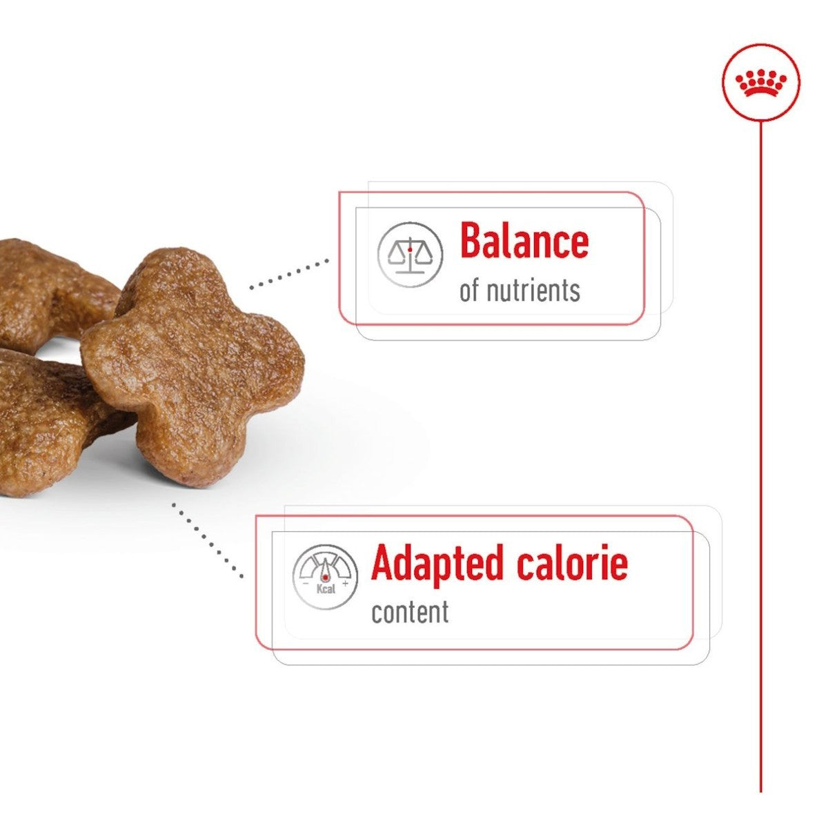 Dog treats with text on balance of nutrients and adapted calorie content on a white background