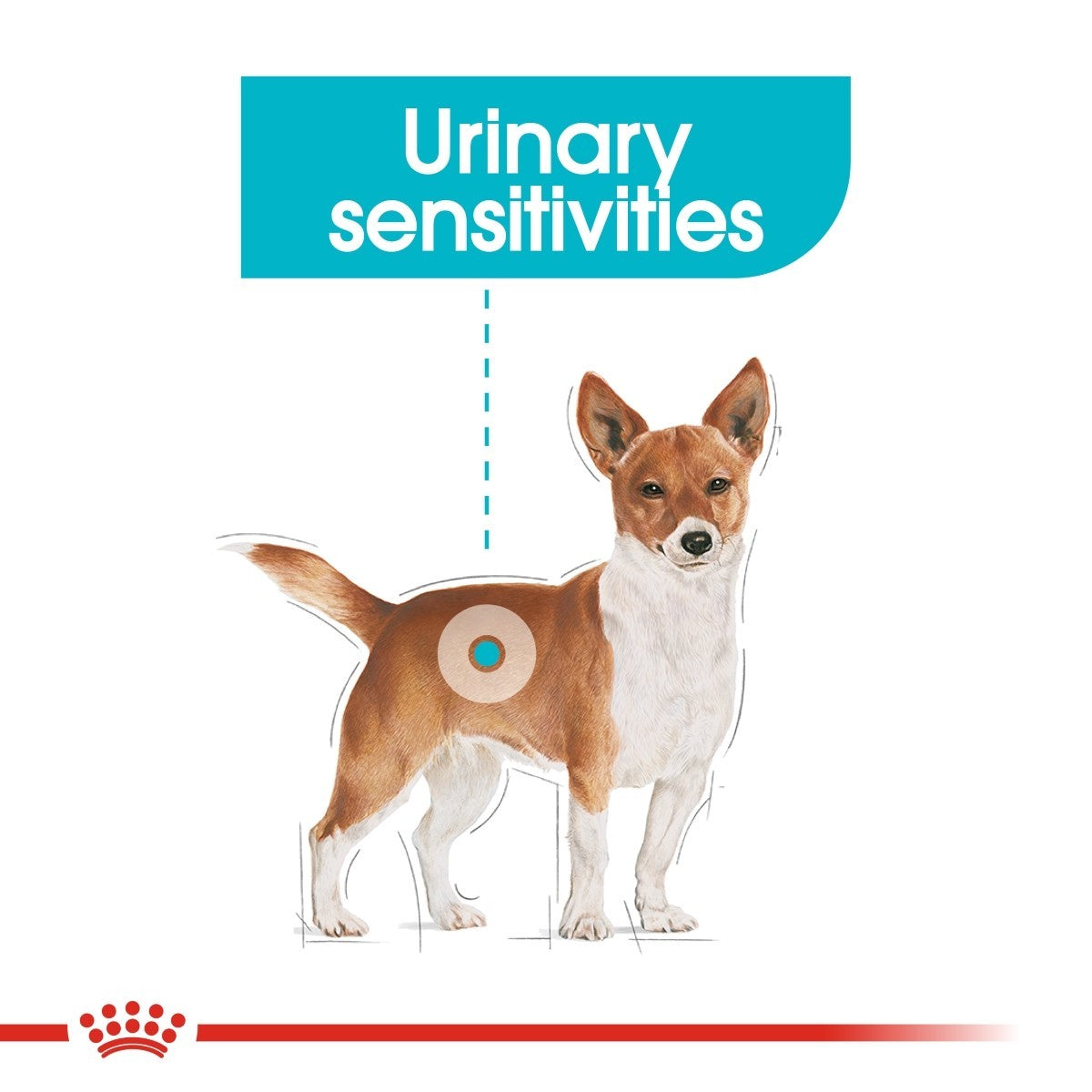 Dog food package for urinary sensitivities with a dog illustration and text on a white background.