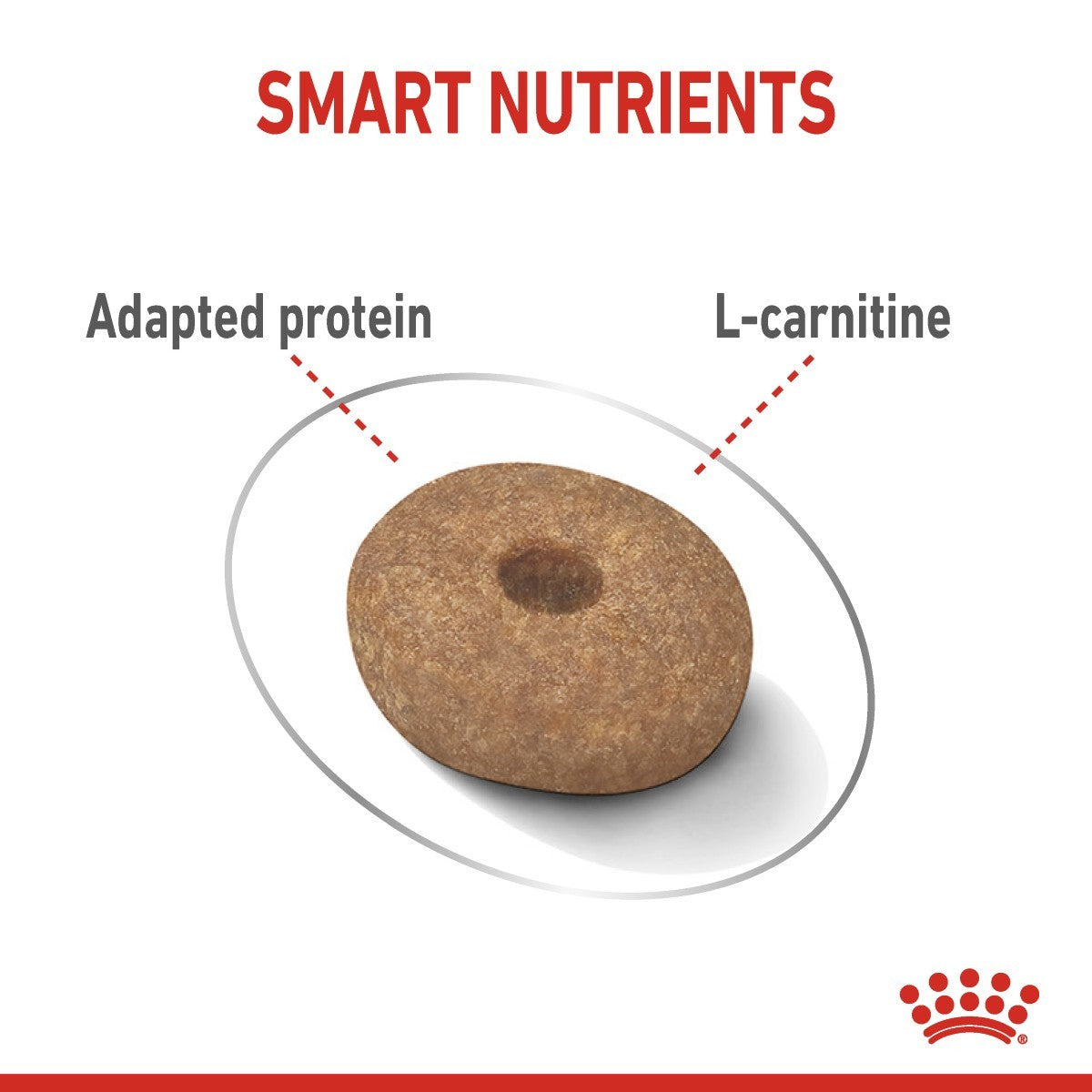 Dog treat with 'Smart Nutrients' label highlighting 'Adapted protein' and 'L-carnitine' on a white background.