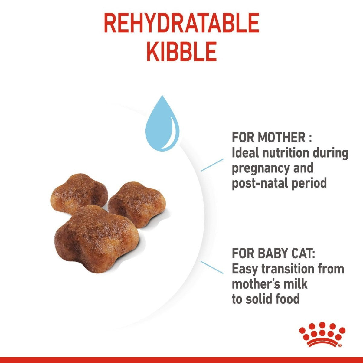 Rehydratable kibble for mother and baby cat with text on a white background