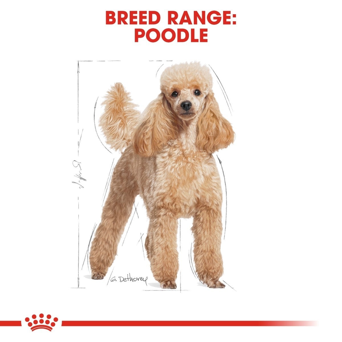Cardboard cutout of a poodle with breed range text and Royal Canin logo.