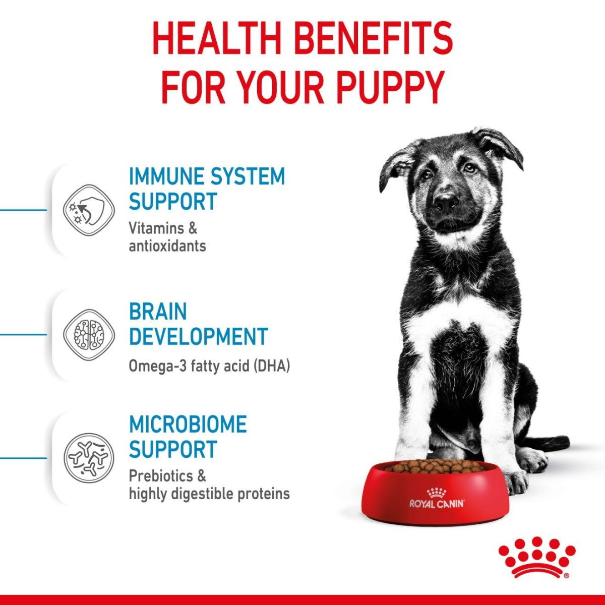 Advertisement for Royal Canin puppy food with a black and white puppy and health benefits listed.