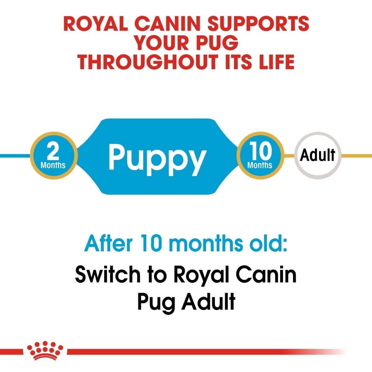 Royal Canin pet food label for pugs indicating different stages of life and switching to adult food after 10 months.