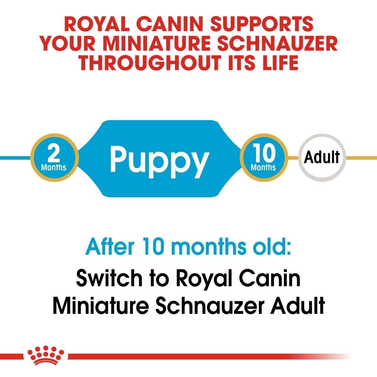 Royal Canin pet food label for miniature schnauzer with text about feeding stages.