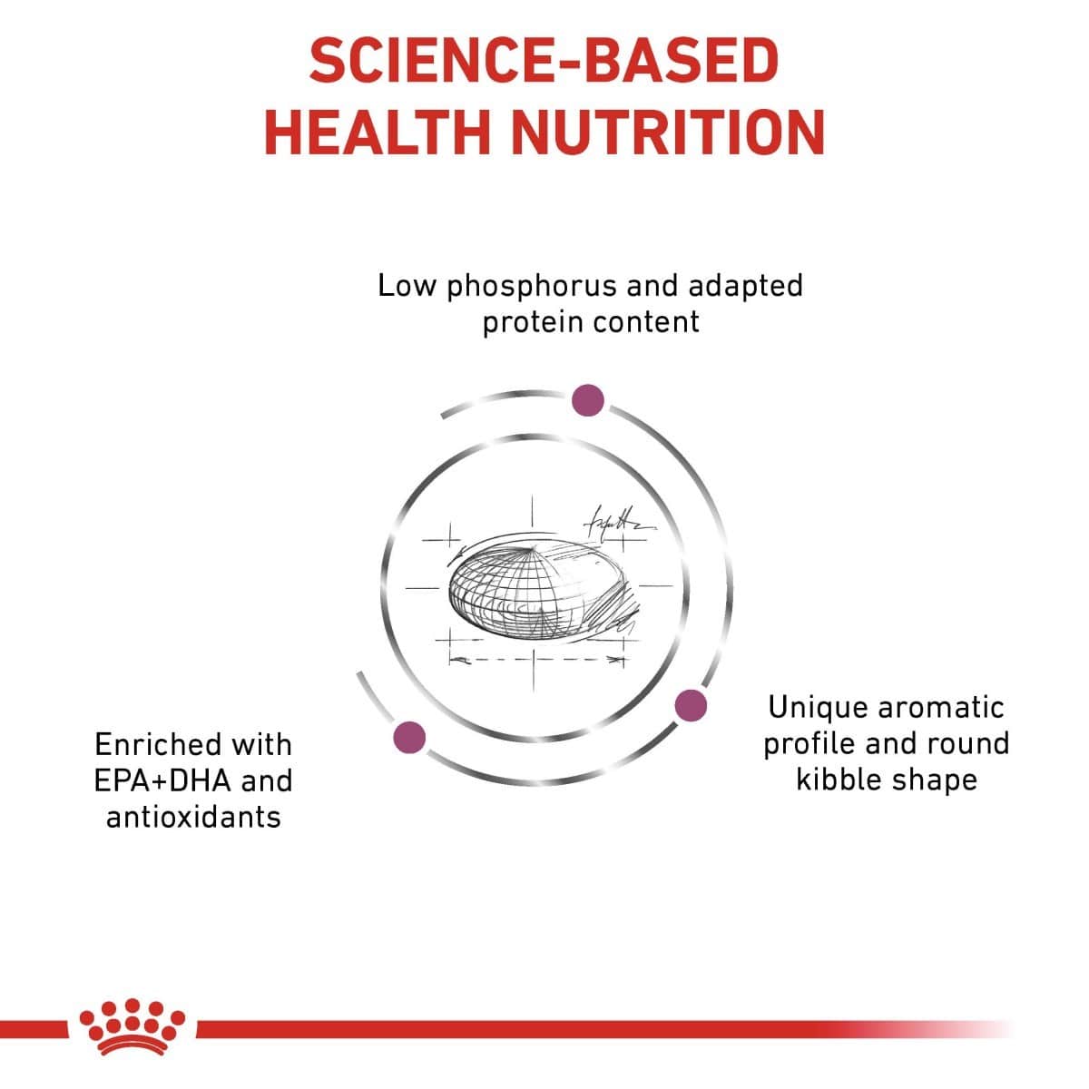 Diagram of science-based health nutrition with text and a kibble illustration, featuring Royal Canin logo.