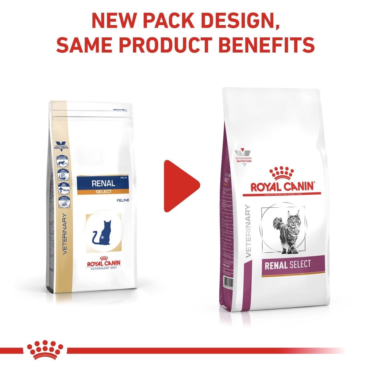 Two packages of Royal Canin Renal Select cat food with a red arrow and text on a white background