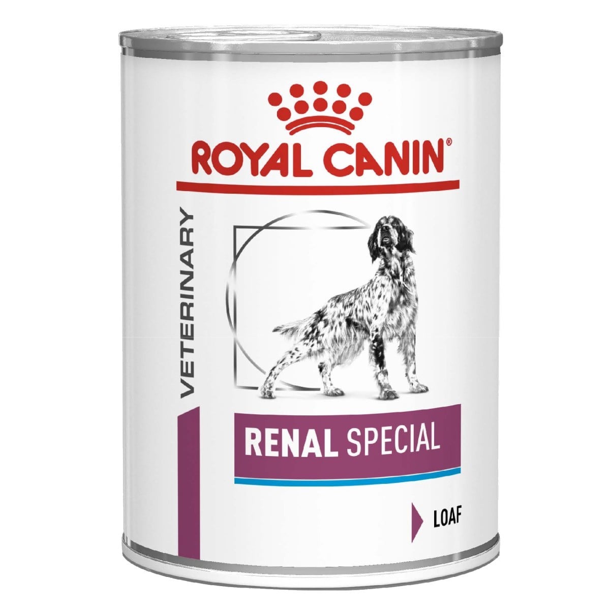 Royal Canin Veterinary Renal Special can for dogs on a white background