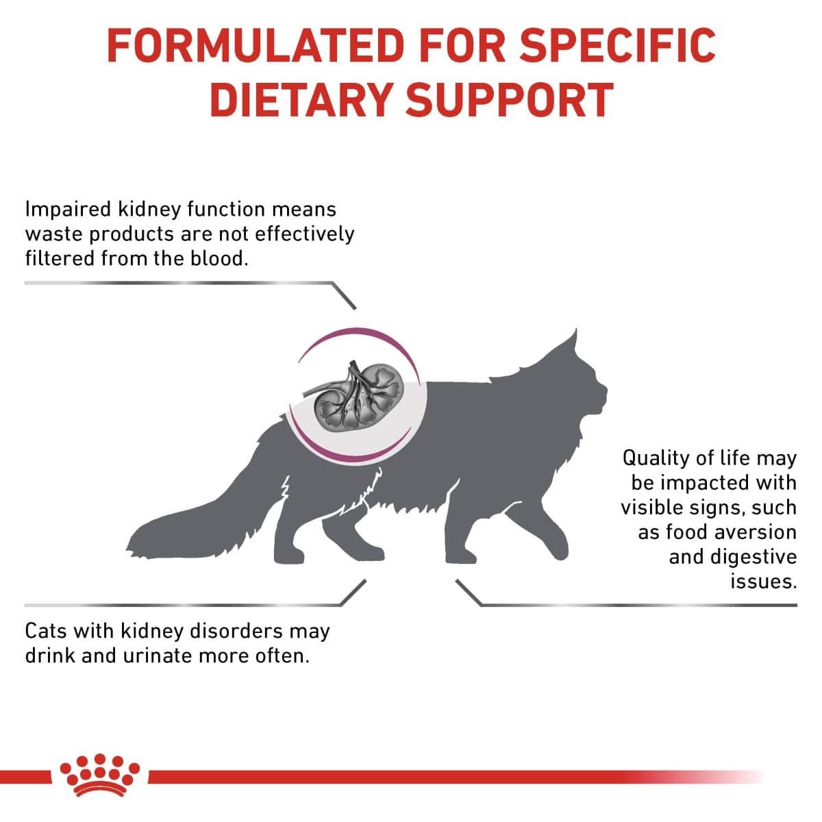 Diagram explaining dietary support for cats with impaired kidney function, featuring a cat silhouette and a kidney cross-section.