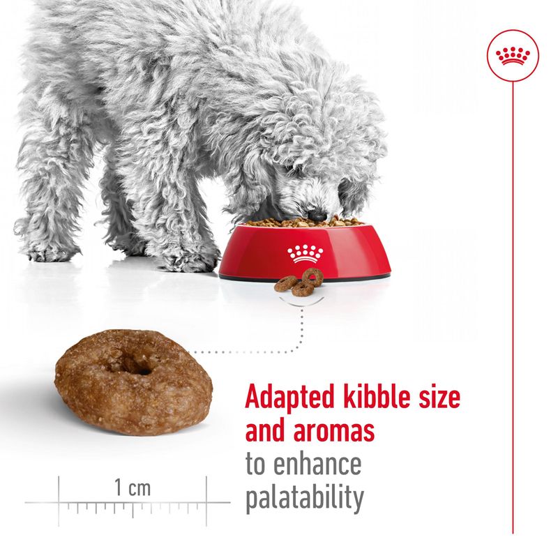 Dog eating from a red bowl with kibble and a measurement scale showing kibble size.