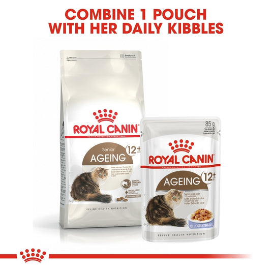 Royal Canin Ageing 12+ cat food packaging on a white background
