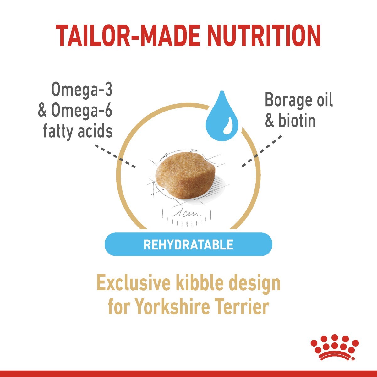 Senior Yorkie dry dog food