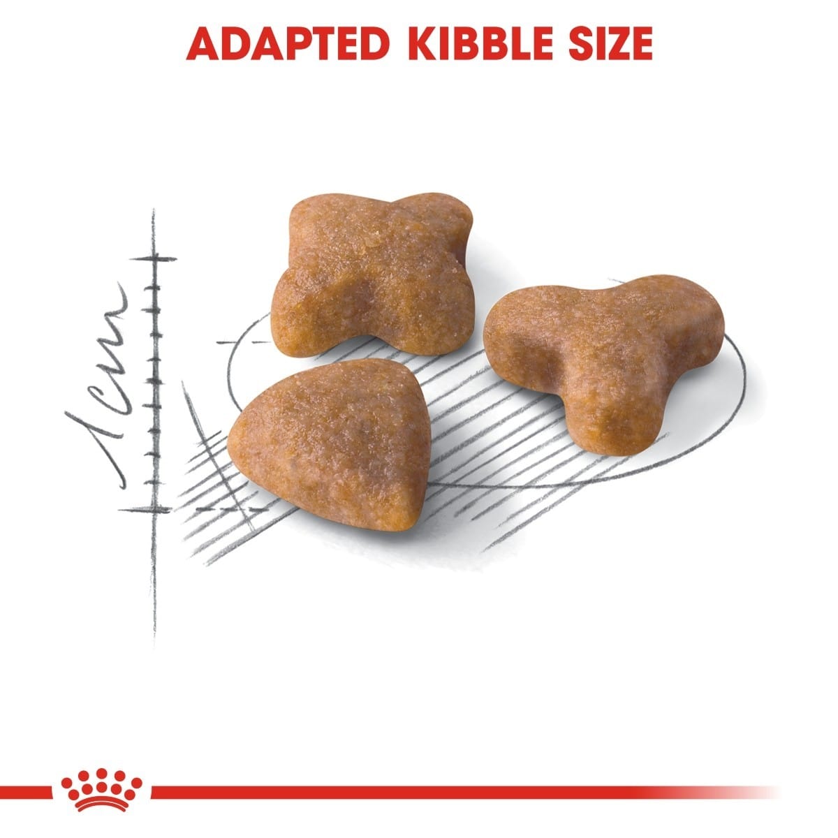 Three pieces of adapted kibble size on a white background with a scale and text indicating 'Adapted Kibble Size'.