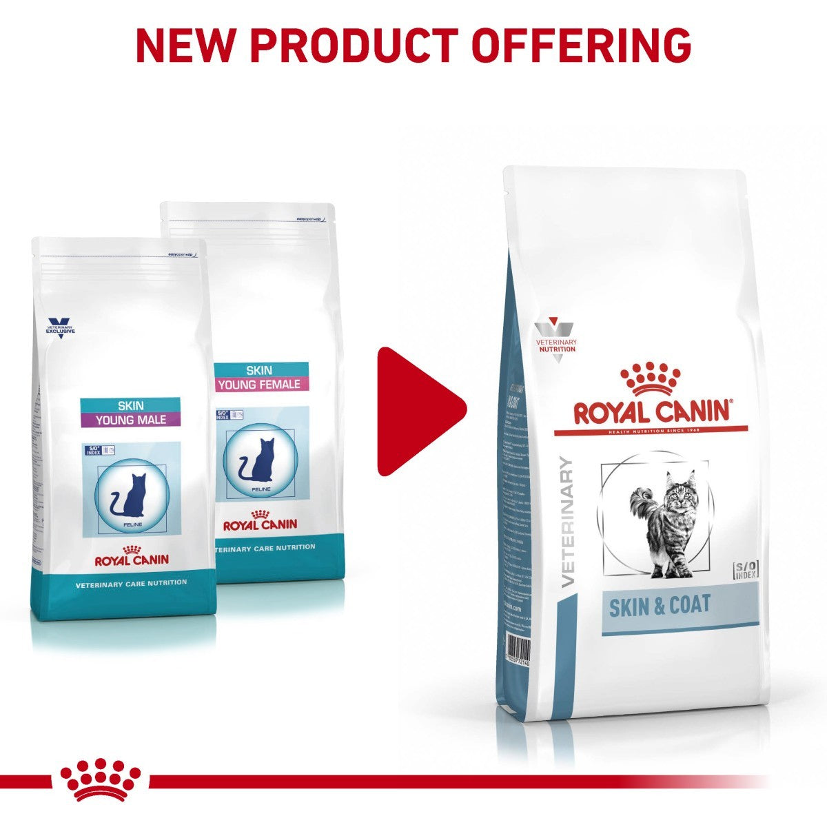 Royal Canin veterinary diet products on a white background with red accents.