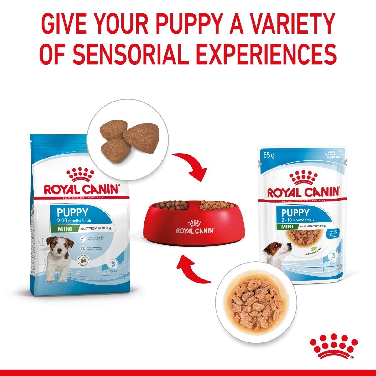 Royal Canin puppy food packaging with text on sensorial experiences