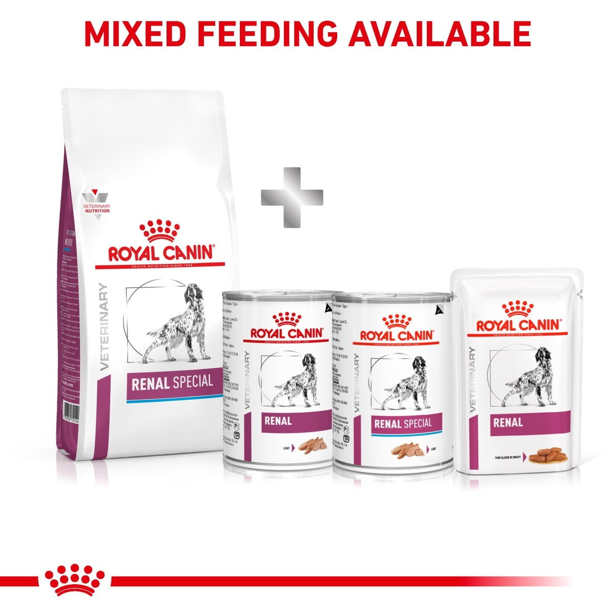 Royal Canin Renal Special pet food products on a white background