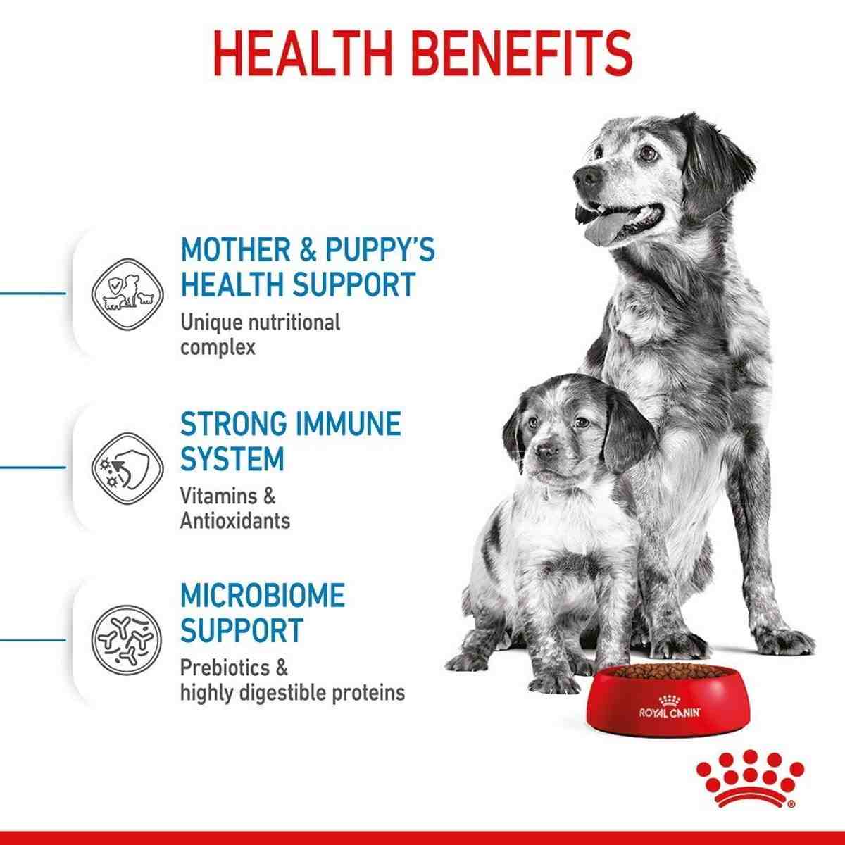 Dog and puppy with health benefits text and Royal Canin logo
