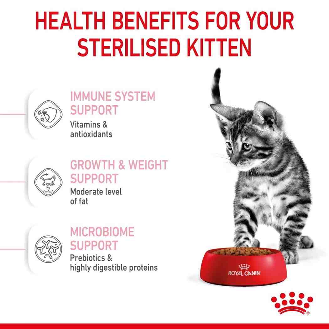 Royal Canin advertisement for sterilized kittens with a kitten and red bowl on a white background.