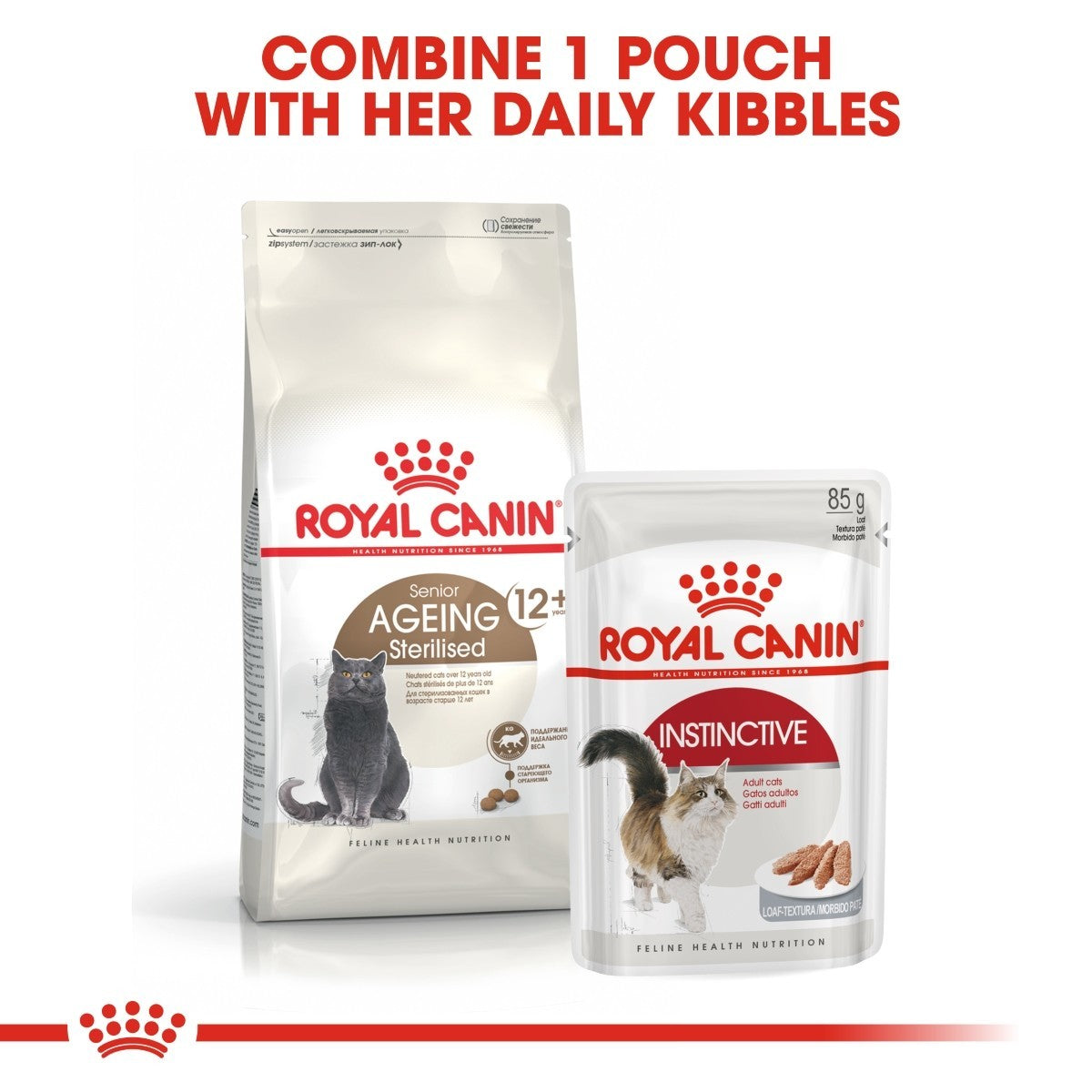 Two Royal Canin cat food packages on a white background with text.