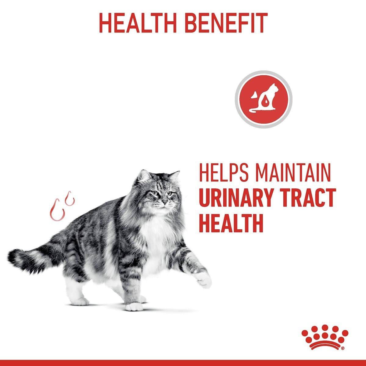 Cat on a white background with text about urinary tract health and a brand logo.