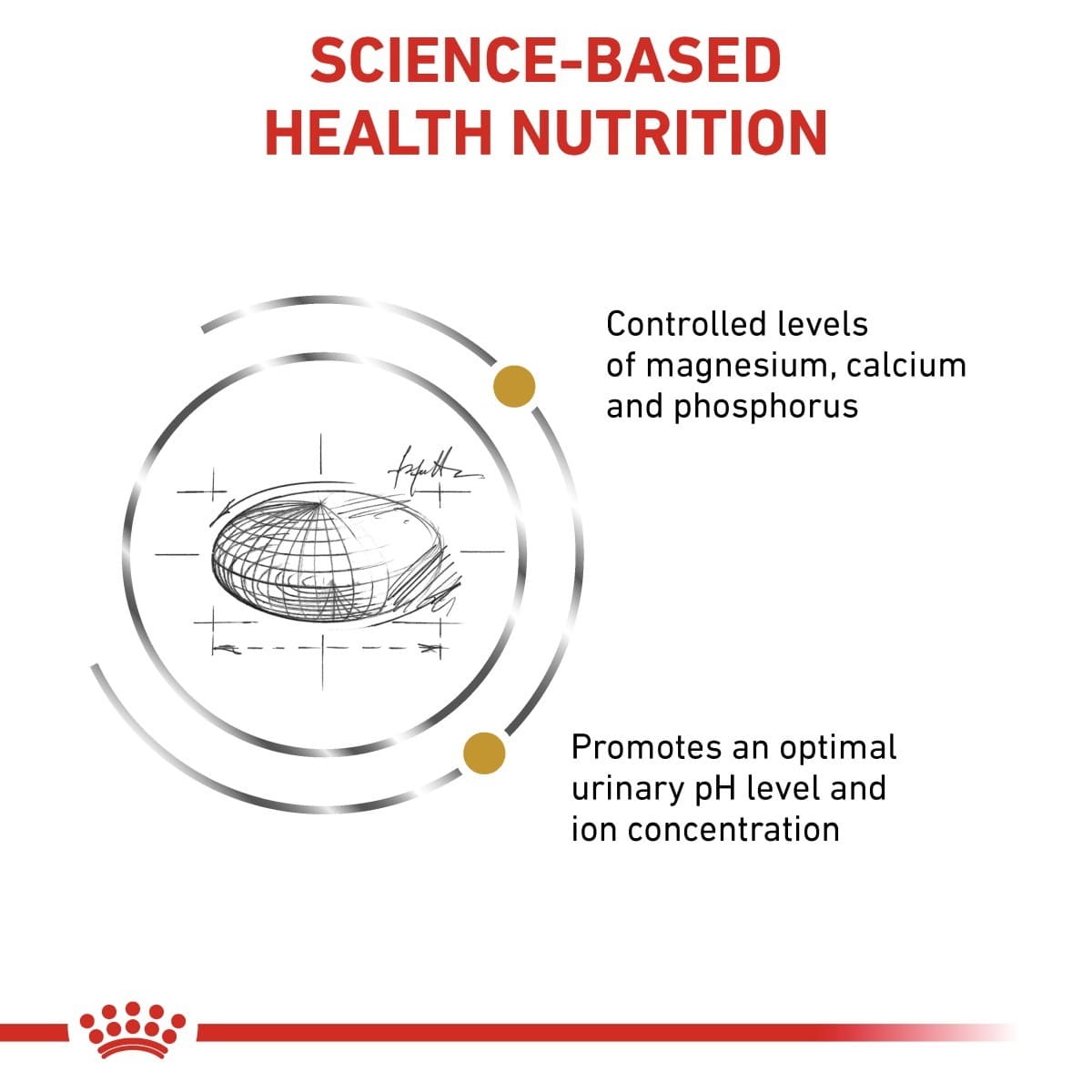 Diagram of a cat's urinary system with text about science-based health nutrition on a white background.