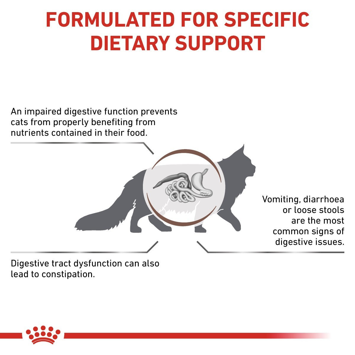 Cat dietary support information with text and a cat icon on a white background.