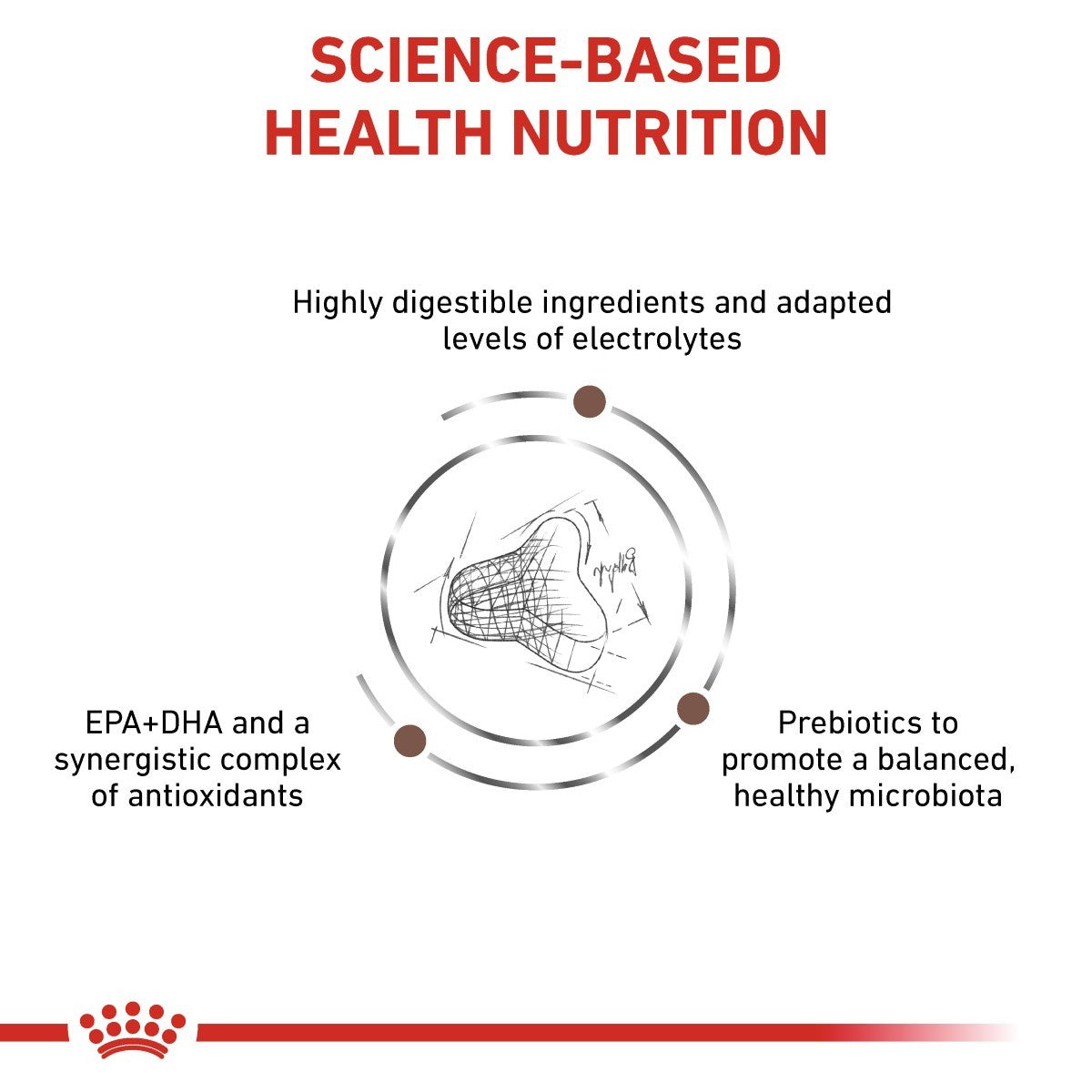 Diagram of science-based health nutrition with text and a crown logo at the bottom.